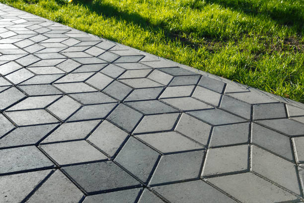 Best Residential Paver Driveway  in Agua Fria, NM