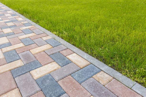 Best Driveway Paving Contractor  in Agua Fria, NM